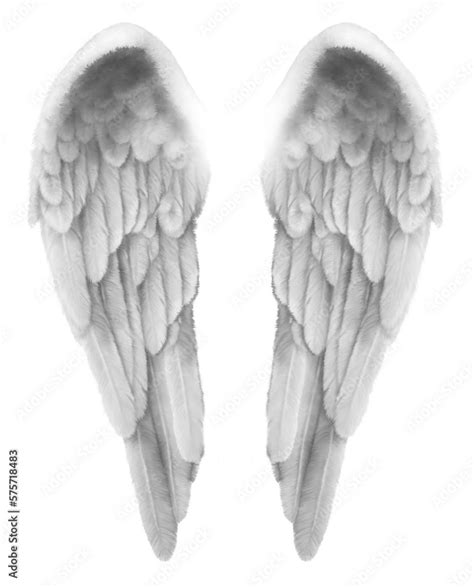 Finely Detailed Illustration Of A Pair Of Silver Grey Angel Wings