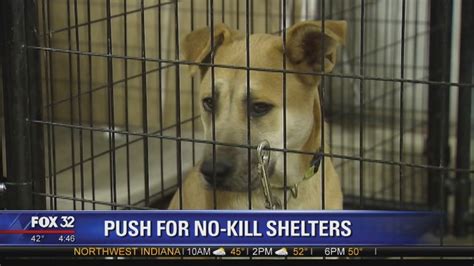 Thanks for making heartland animal shelter your first stop for finding a furry friend. Editorial: "No kill" Chicago animal shelters - LION Newspaper