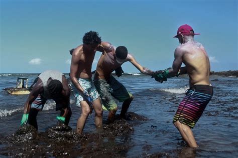 In Pictures Brazil Cleans Up Mystery Oil Spill News Photos Gulf News