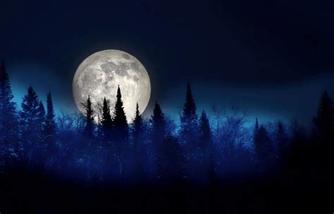 Free Image On Pixabay Moon Trees Night Landscape Пейзажи Луна
