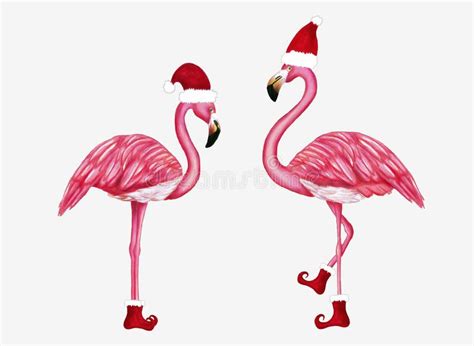 Flamingo Christmas Stock Illustrations 1665 Flamingo Christmas Stock