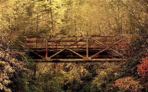 Old Bridge In The Forest Brown Wooden Hanging Bridge Brown And Green