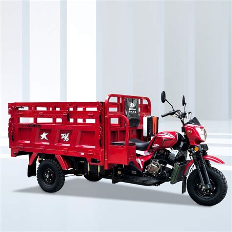 Q3 6a Luxury Motorcycle Motorized Cargo Tricycle Automatic 3 Wheel