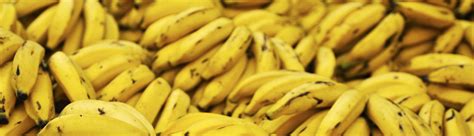 Isu Students Petitions Against Transgenic Bananas Seed Freedom