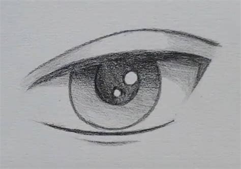 How To Draw Anime Eyes Easy Step By Step For Beginners Annaemmalovisaf