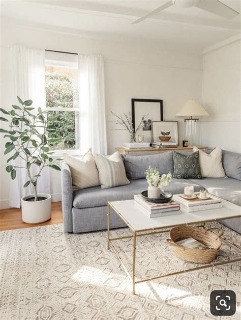 Brown And Neutral Living Room Design Decorilla