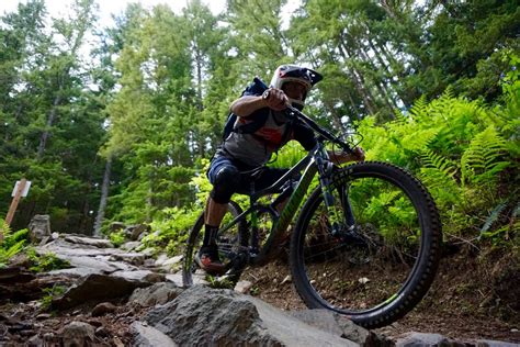 Tiger Mountain Mountain Bike Trail In Issaquah Washington