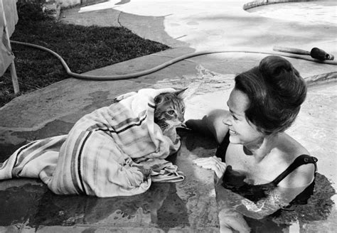actress june lockhart taught  cat named george    water   apparently