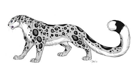 Vector Leopardo Cara Tatuaje De Cara De Leopardo Vector Ilustración