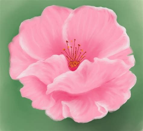 Pretty Pink Flower By Firija On Deviantart