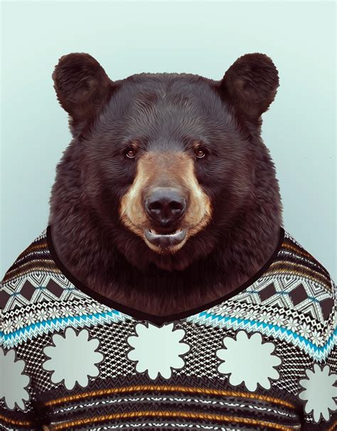 Zoo Portraits Bear Bear Art Animal Illustration Pet