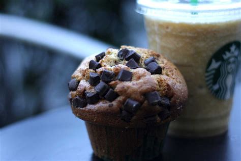 Starbucks being the world's biggest coffee retailer with over 28k coffee shops worldwide, it can be so handy for all those coffee loving vegans to get familiar with vegan drinks & food options this giant retailer has to offer. Vegans Petition Starbucks for More Vegan Food to Eat With ...