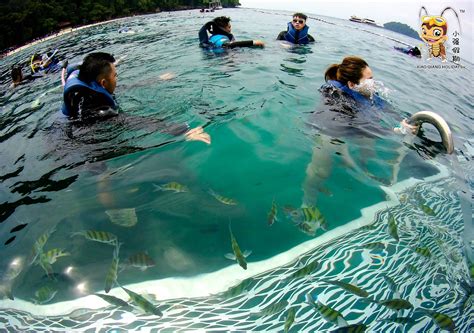 The langkawi pulau payar marine park is one of the exotic and beautiful parks in malaysia which designed as a colorful tropical marine life and abundant. The Snorkeling Guide to Pulau Payar Marine Park | Travel ...