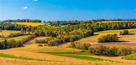 Early Autumn View Of Rolling Hills In Rural York County Pennsylvania