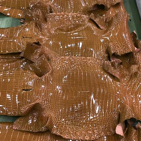 Why Crocodile Skin Is Used For Bags Iucn Water