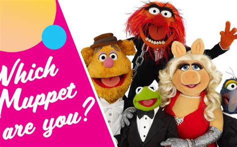 Quiz Which Muppet Are You