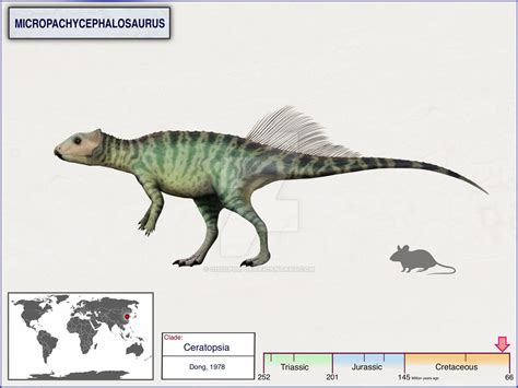 Micropachycephalosaurus By Cisiopurple On Deviantart