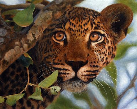 Leopard Painting Print Wildlife Art Painting By Jason Morgan