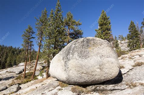 A Granite Boulder Sequoia National Park Stock Image C0245647