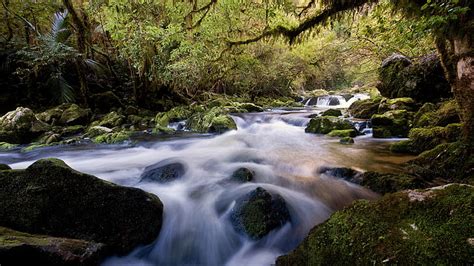 Stream Forest Jungle Timelapse Rocks Stones Moss Hd Waterfall In The