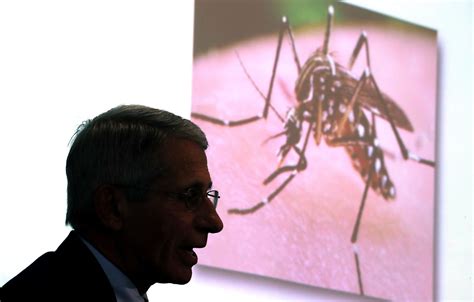 Cdc And Nih Officials How Not To Fight The Zika Virus The Washington