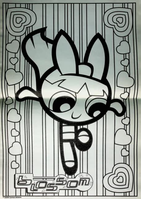 Blossom The Powerpuff Girls Color Your Own Poster 11x155 Cartoon