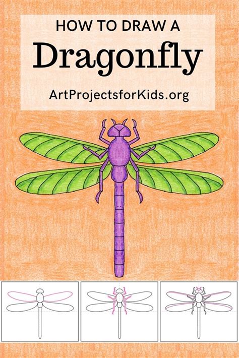 Easy How To Draw A Dragonfly Tutorial And Dragonfly Coloring Page