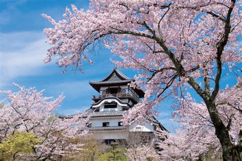 『じゃらん』編集部が選んだ 今年行ってみたい注目の“桜絶景スポット”ランキング発表！｜じゃらんニュース