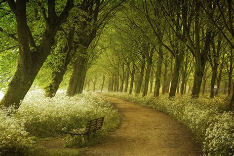 25 Magical Paths Begging To Be Walked