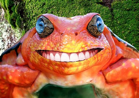 Killer Smile Picture By Digitalpro For Killer Frog