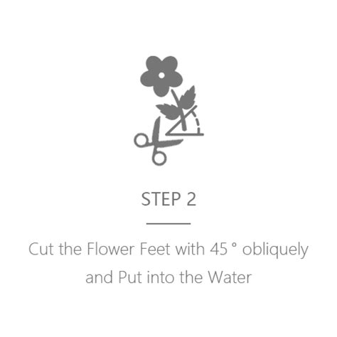 How To Maintain Quadruple Flower Fresh Flower And Preserved Flower Shop