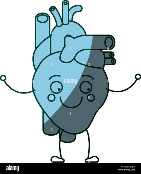 Blue Color Shading Silhouette Caricature Circulatory System With Heart