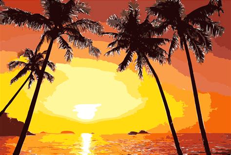 Sunset Arecaceae Silhouette Clip Art Tropical Sunset Cliparts Png