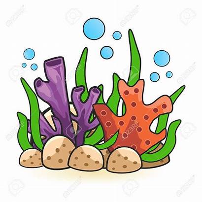 Coral Reef Clipart Clipartstation