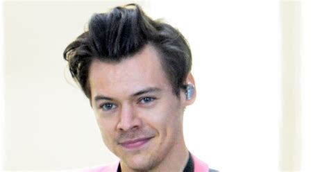 Harry Styles Defining Sexuality The Sun Interview