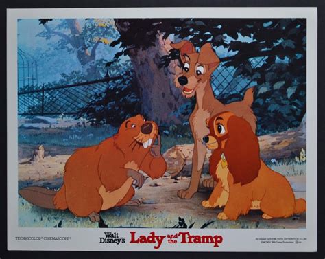 Unknown „lady And The Tramp Original Lobby Card Of Walt Disneys