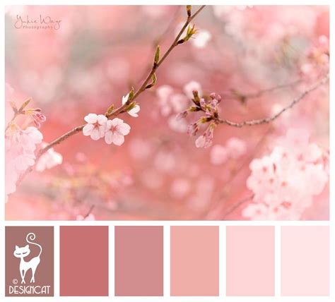 Cherry Blossom Pink Blush Dusky Rose Designcat Colour Inspiration