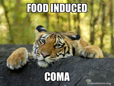 Food Induced Coma Confession Tiger Make A Meme