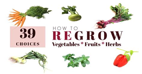 39 Vegetables Fruits And Herbs To Regrow From Scraps Empress Of Dirt