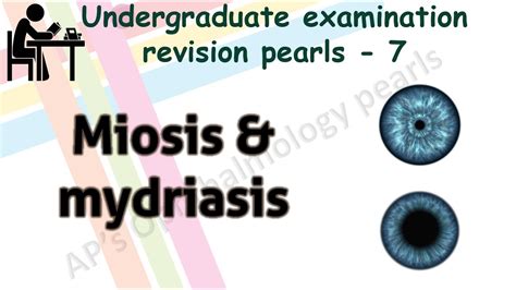 Miosis And Mydriasis Undergraduate Examination Revision Pearls 7 Youtube