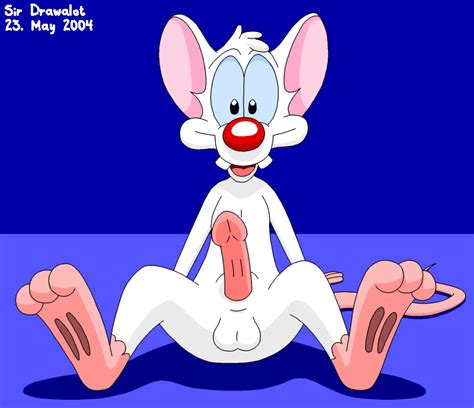 Rule 34 Pinky Pinky And The Brain Tagme 153354