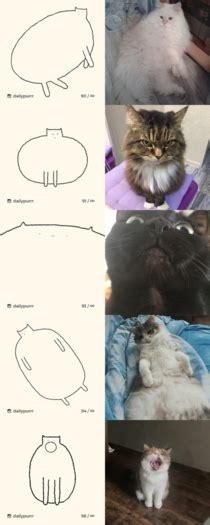 I Draw Cats Meme Guy
