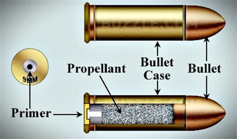 Why Bullets Spin When Shot From A Rifle Or Handgun Perfect Atom