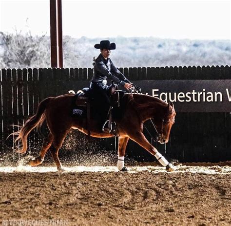 Horse Training Tips From Professional Reining Horse Trainers Custom