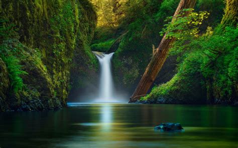 Download Wallpapers Beautiful Waterfall Lake Rocks Forest Green