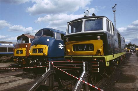 British Rail Diesel Hydraulic Locomotives Class 52 Western Class 42 Warship And Class 35