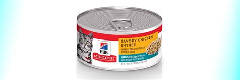 Obesity can significantly shorten the life of a cat. 10 Best Canned Cat Food for Weight Loss in 2021 | Reviews ...