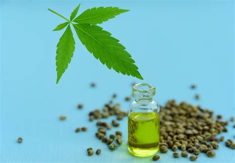 Cbd Oil Vs Hemp Seed Oil Botanical Empress