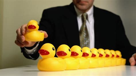 Get Your Ducks In A Row Google Search