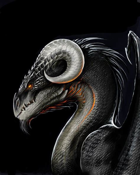 Blackdragon By Tatianamakeeva On Deviantart Dragons Pinterest